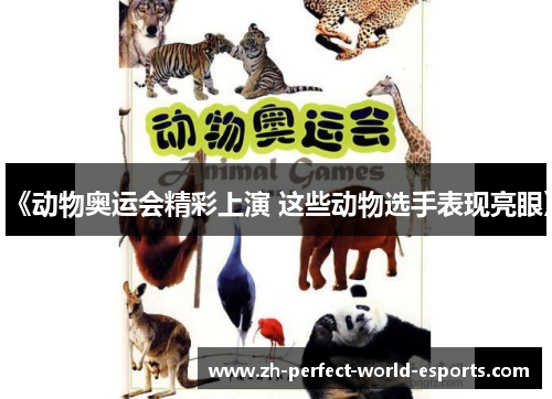 《动物奥运会精彩上演 这些动物选手表现亮眼》